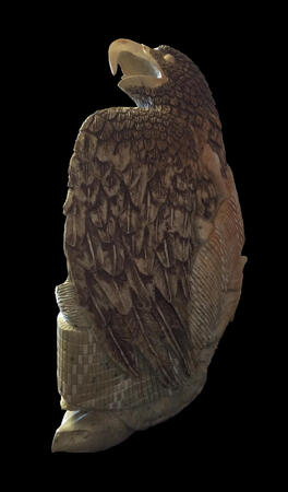 Turtle Island Eagle